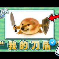 我的刀盾